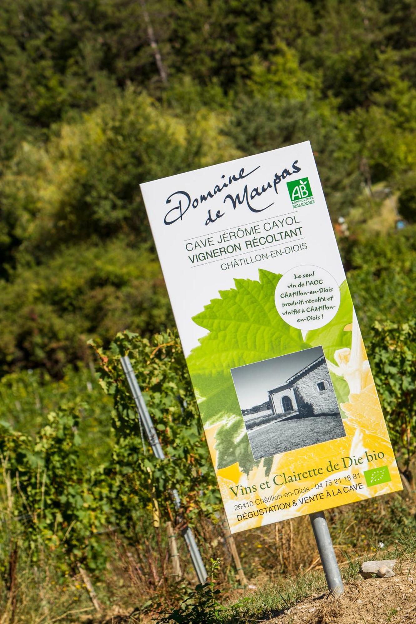 Le Dauphine Hotell Châtillon-en-Diois Exteriör bild